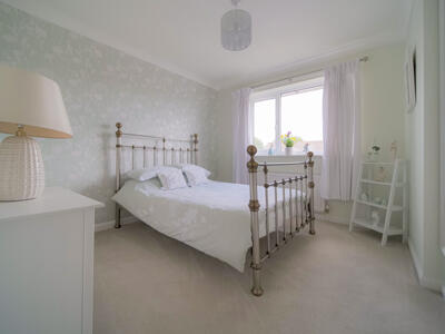 Picture 11